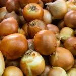 Onion Seeds for Planting – Where to Buy & How to Grow