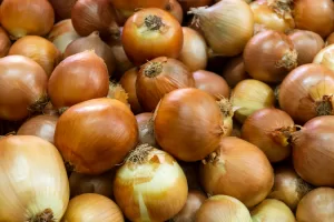 Onion Seeds for Planting – Where to Buy & How to Grow