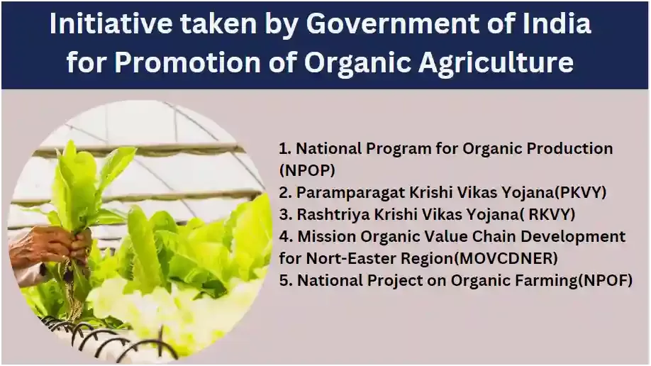 Government Schemes & Subsidies in Uttar Pradesh Agriculture (2025 Guide) Agzora