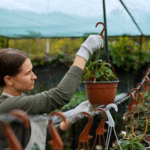 Terrace Gardening Tips for Beginners in India