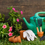 15 Expert Gardening Tips Every Beginner Should Know
