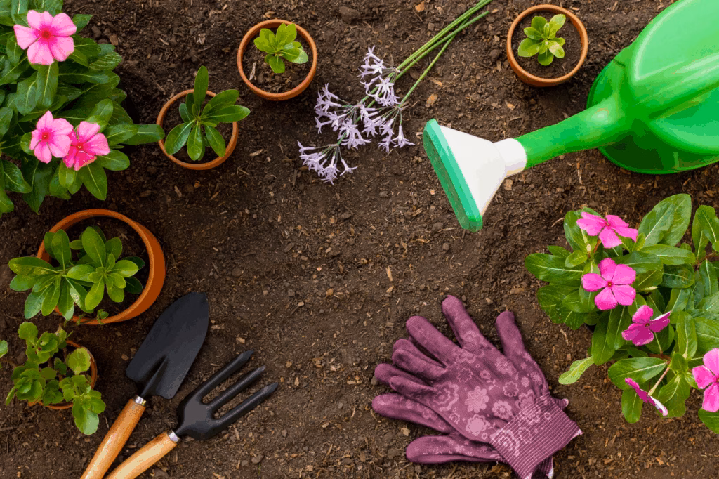 Best Gardening Tips for Organic Vegetable Growers