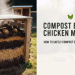Compost Bin for Chicken Manure: How to Safely Compost Chicken Droppings