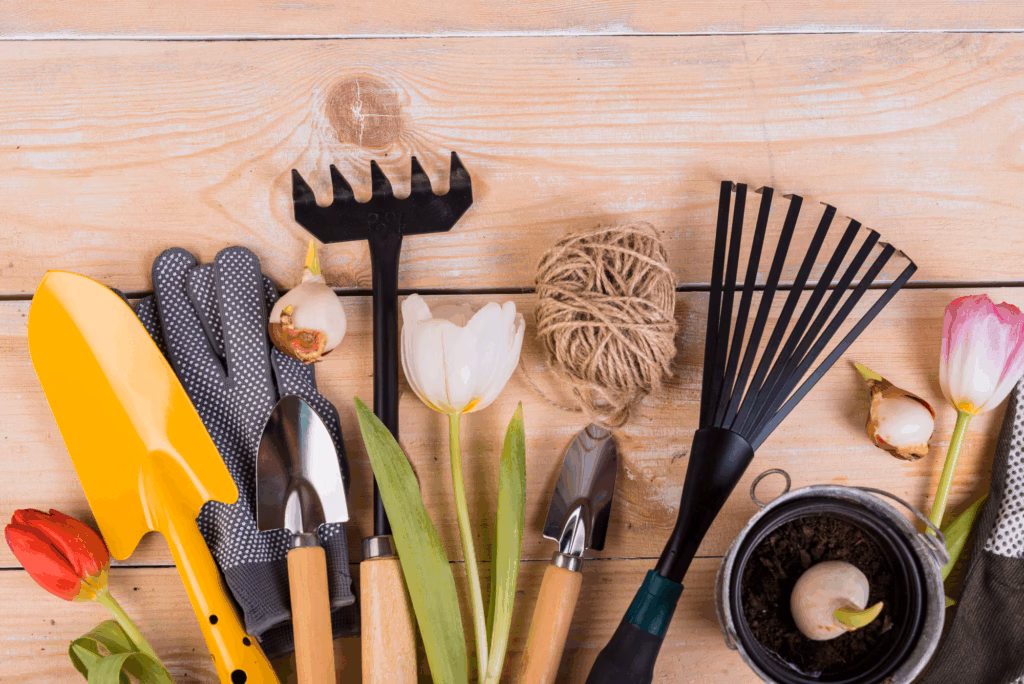The Ultimate Guide to Gardening Tools: Hand Tools, Sharpeners & More