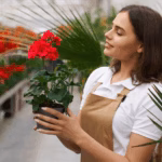 Home 11 Step-by-Step Guide to Balcony Gardening
