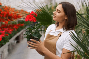 Home 28 Step-by-Step Guide to Balcony Gardening
