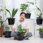 Home 10 6 Indoor Plants for Fresh Air