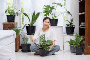 Home 27 6 Indoor Plants for Fresh Air
