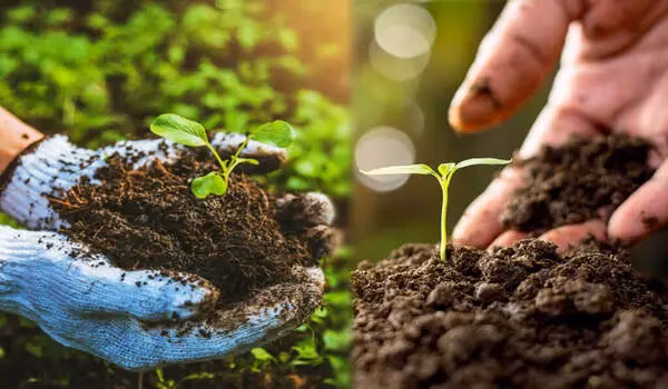 Organic Farming: Meaning, Methods, and Benefits of Organic Farming
