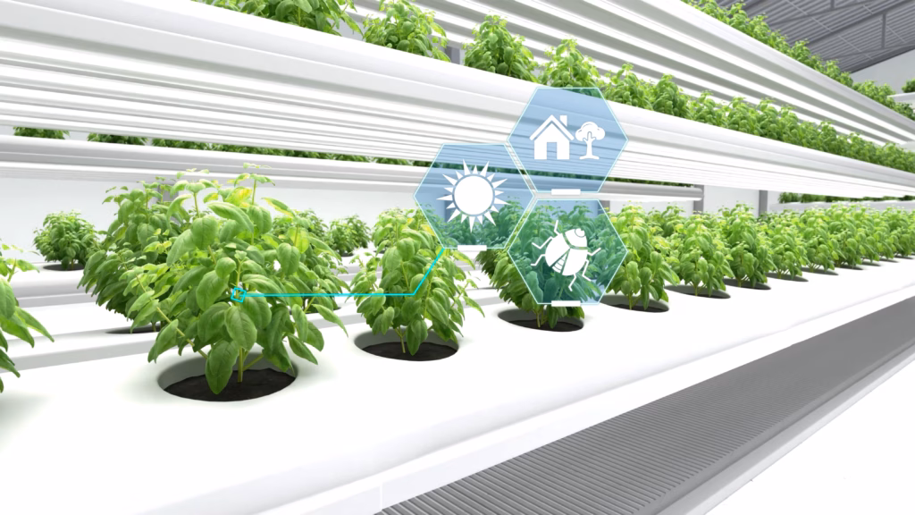 What is Modern Farming – Methods, Differences & Benefits 1 What is Modern Farming – Methods, Differences & Benefits Agzora